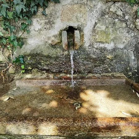 Fernandes House בית אירוח *