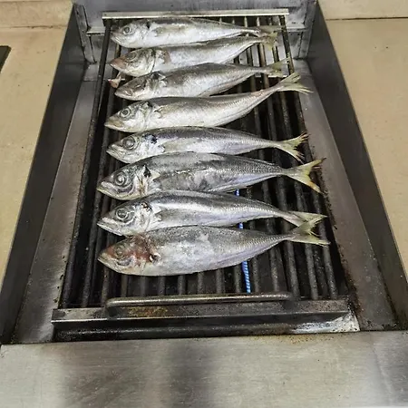 Fernandes House Pansiyon