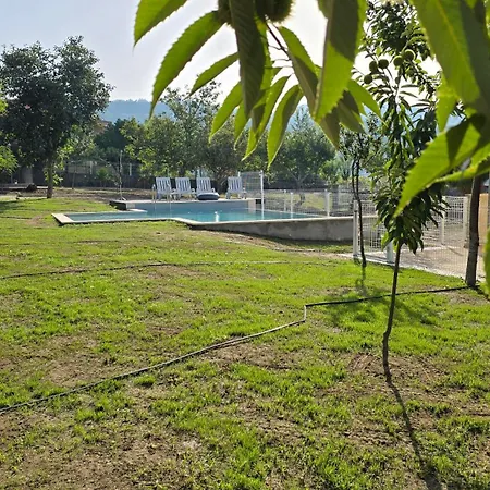 Fernandes House Pansiyon Paredes de Coura