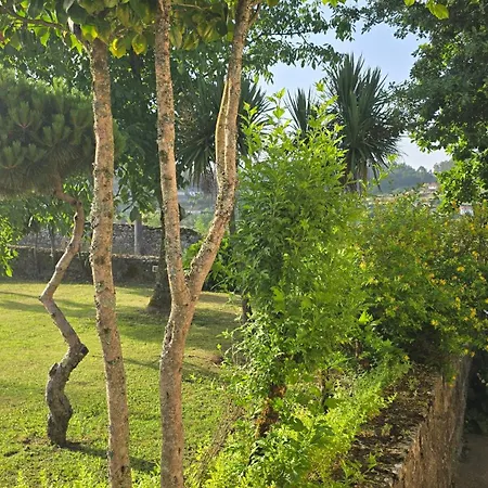 Kwatera prywatna Fernandes House