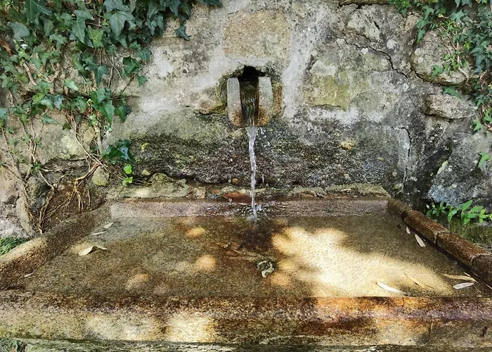 Fernandes House 民宿 *