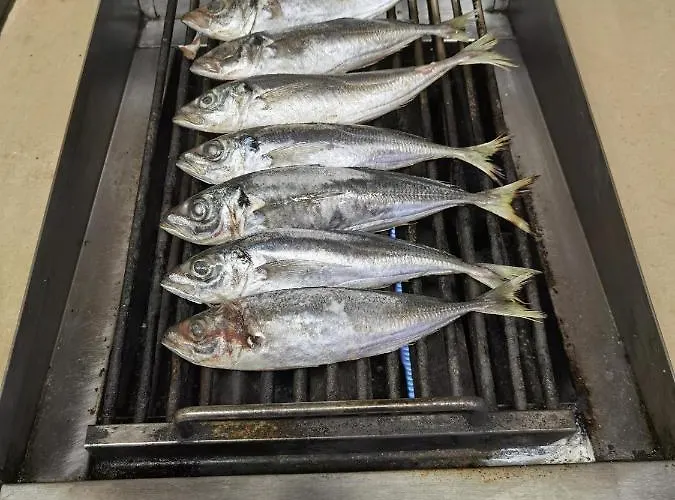 Fernandes House Проживание в семье