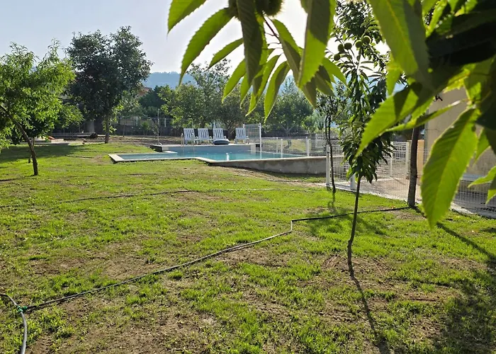 Fernandes House 民宿 帕雷迪什迪科拉